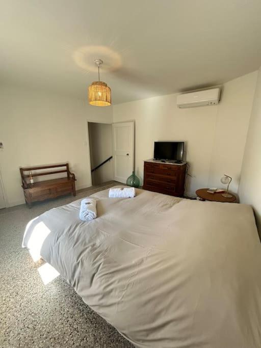 La Confidentielle Centre Ville Arles Terrasse المظهر الخارجي الصورة