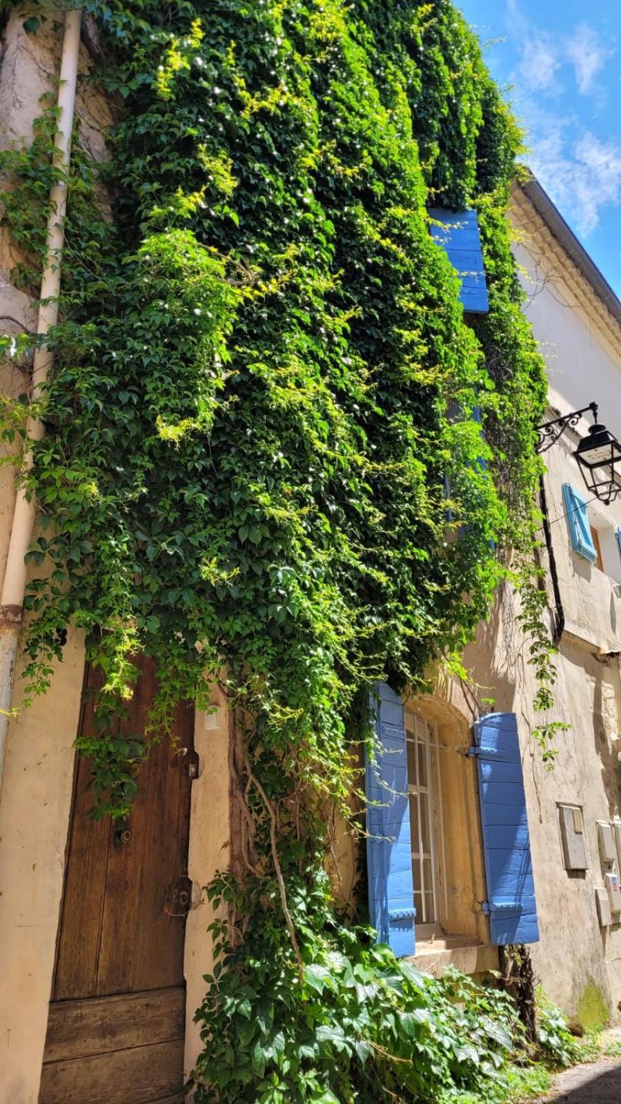 La Confidentielle Centre Ville Arles Terrasse المظهر الخارجي الصورة