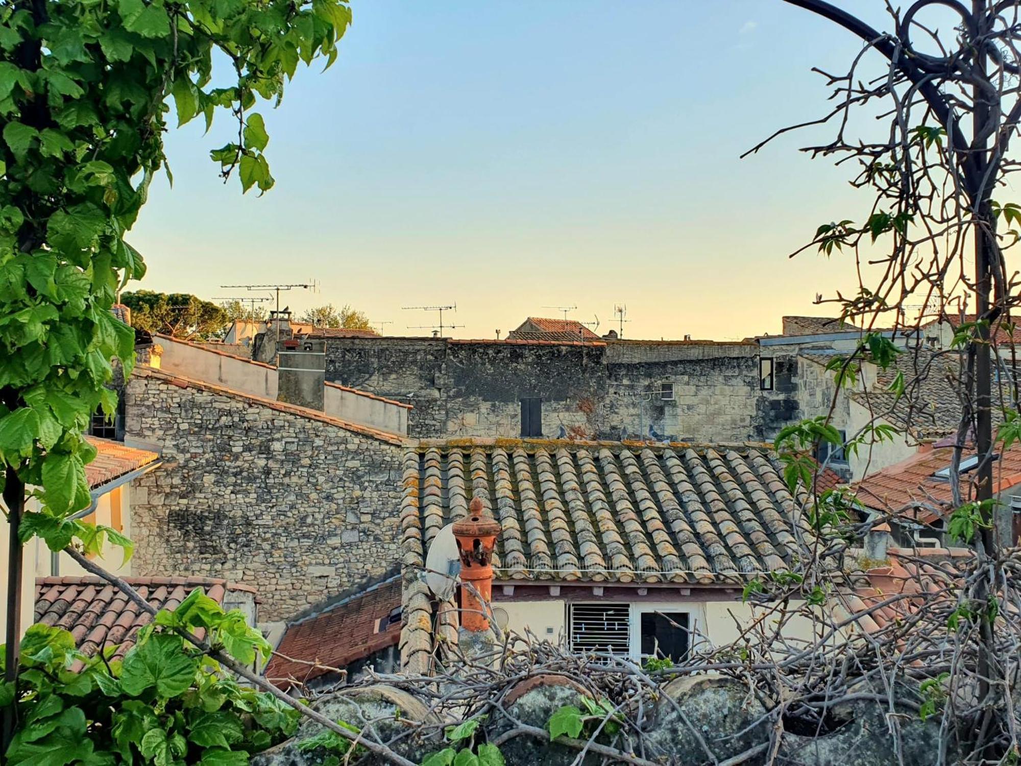 La Confidentielle Centre Ville Arles Terrasse المظهر الخارجي الصورة